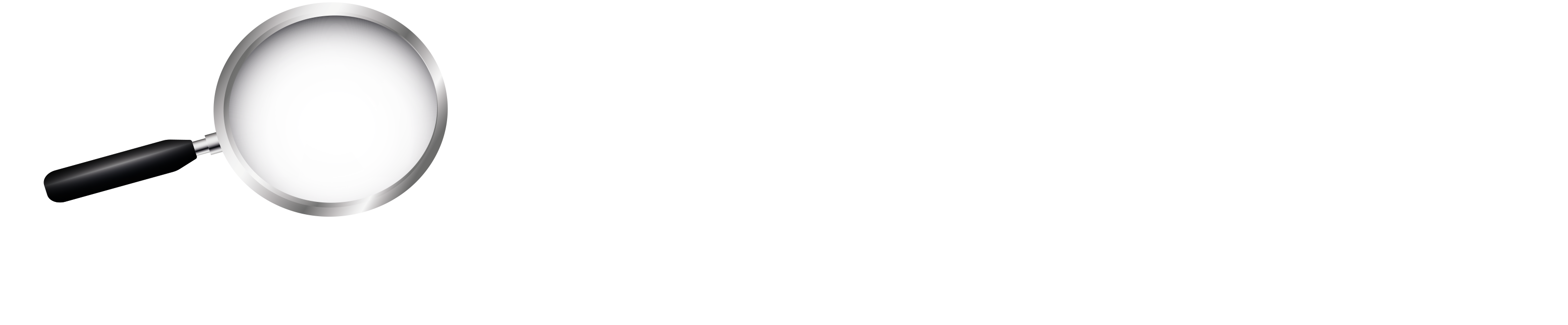 Logotipo NEVICOM-2